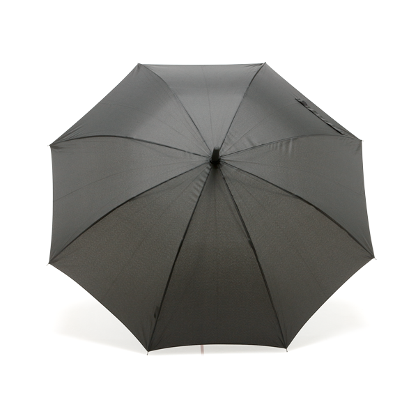 Parapluie. Vert clair Vert, à personnaliser avec le logo de votre club. Parapluie. Vert clair Vert