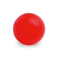 ps2019/98054_05_C1_L1