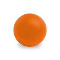 ps2019/98054_10_C1_L1