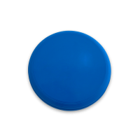 ps2019/98452_04_C1_L1