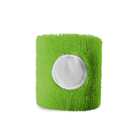 ps2019/99022_22_C1_L1