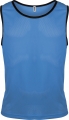 PS_PA041_ROYALBLUE