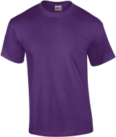 images/stories/virtuemart/products2015/TT/T-shirts_Purple_x72_GI2000C