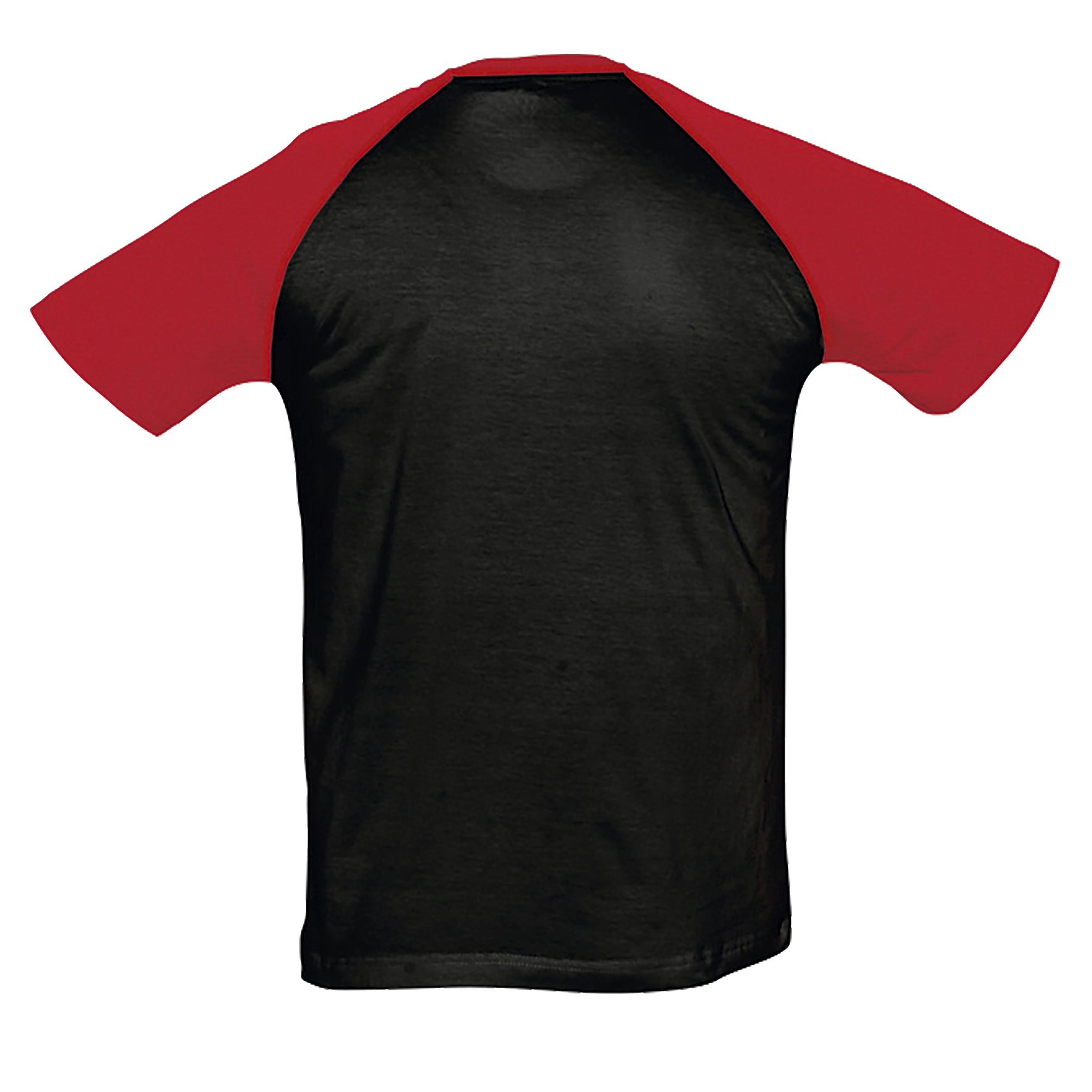 images/stories/virtuemart/sols20/1959_teeshirt_homme_bicolore_manches_raglan_funky_blackgrey_melange_dos