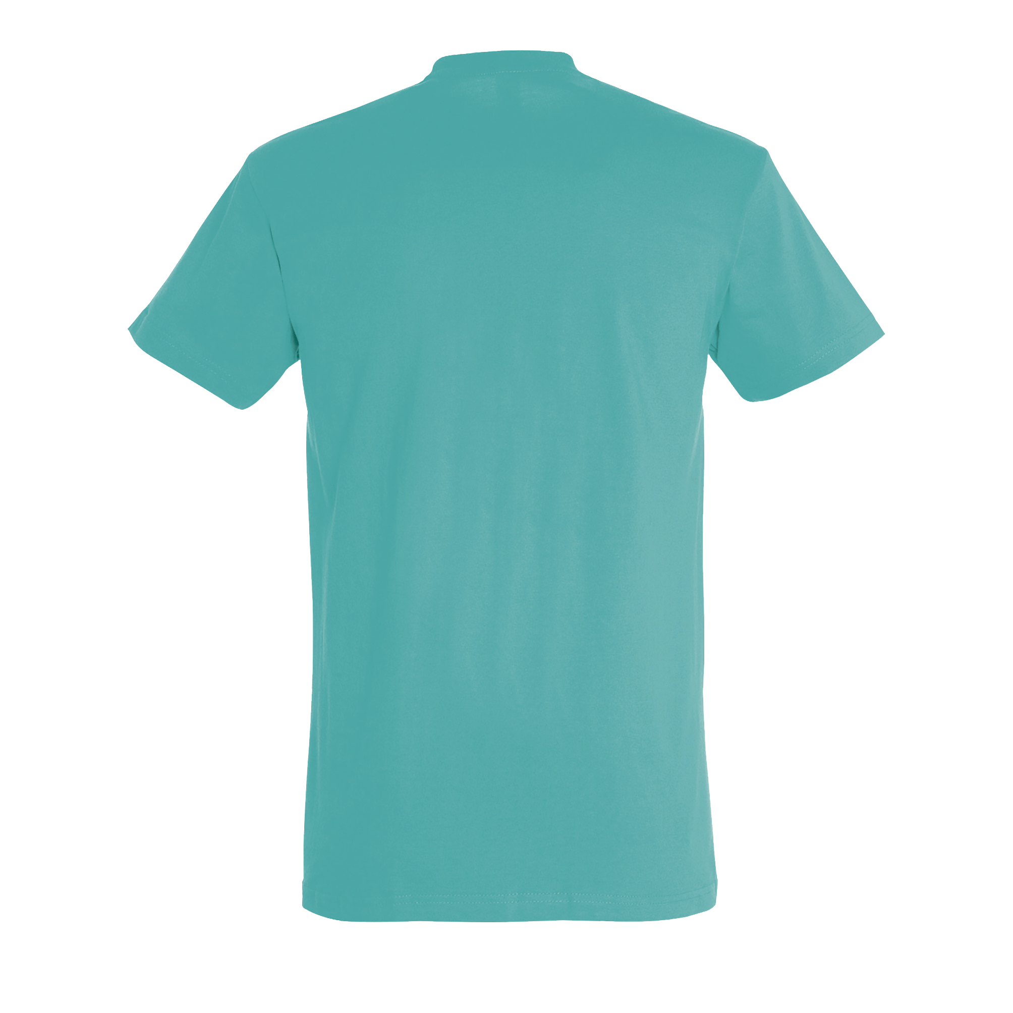 images/stories/virtuemart/sols20/2467_teeshirt_homme_col_rond_imperial_apple_green_dos