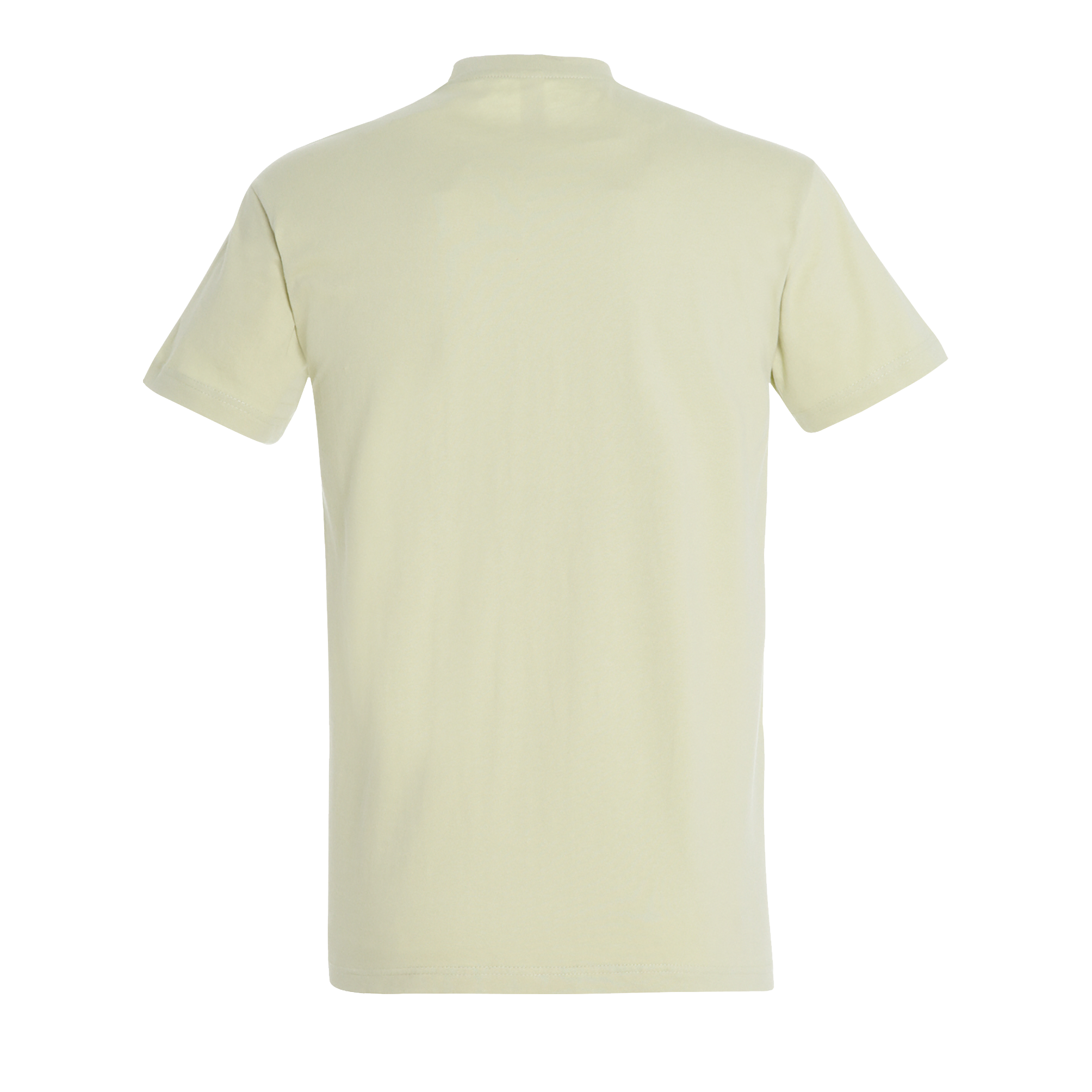 images/stories/virtuemart/sols20/2658_teeshirt_homme_col_rond_imperial_apple_green_dos