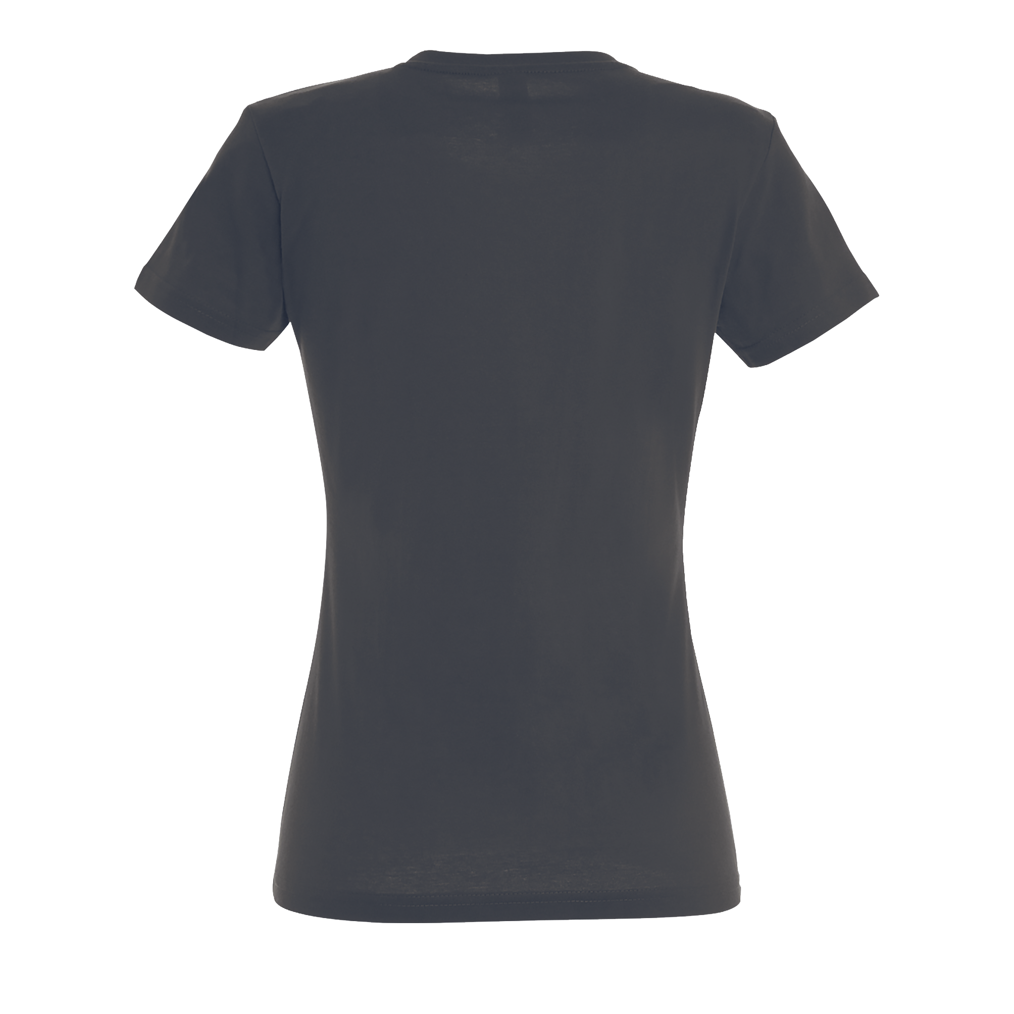 images/stories/virtuemart/sols20/3167_teeshirt_femme_col_rond_imperial_women_apple_green_dos