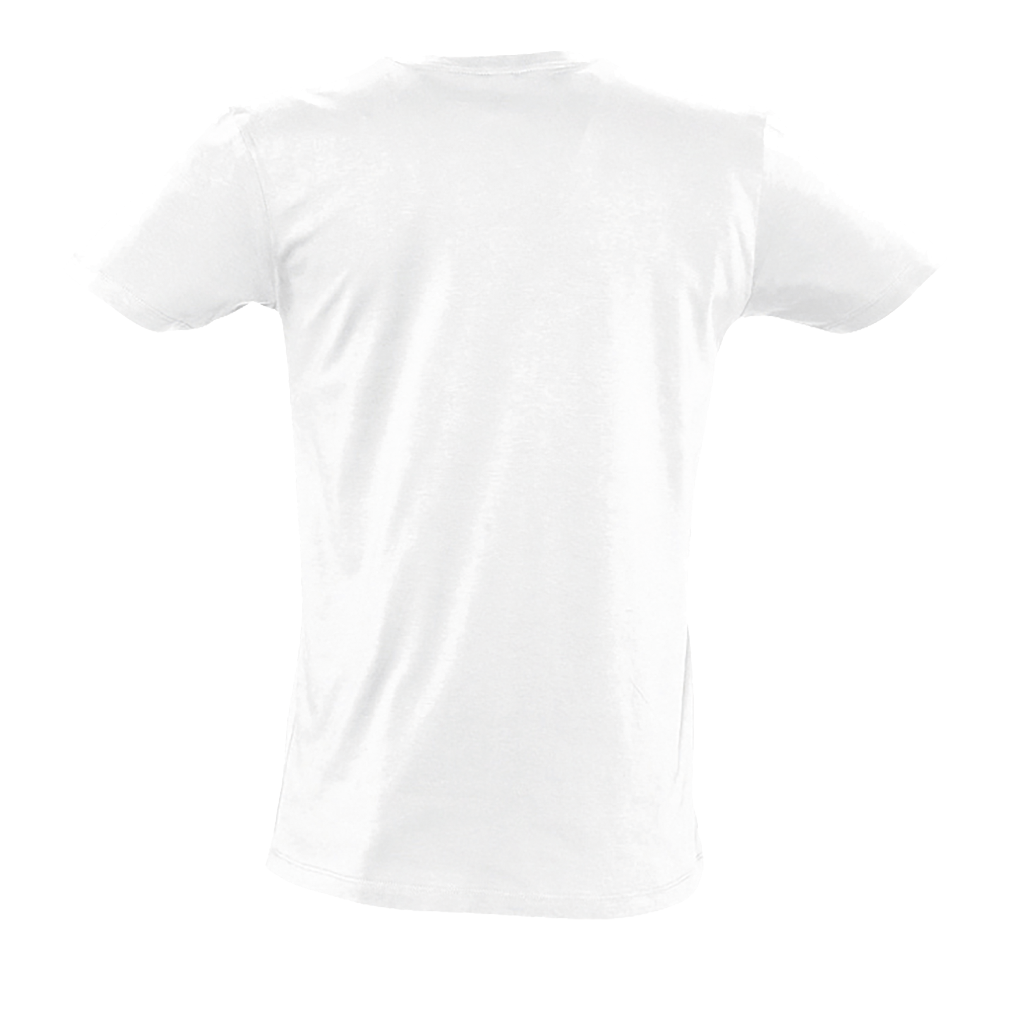 images/stories/virtuemart/sols20/4549_teeshirt_homme_col_v_profond_master_coral_dos