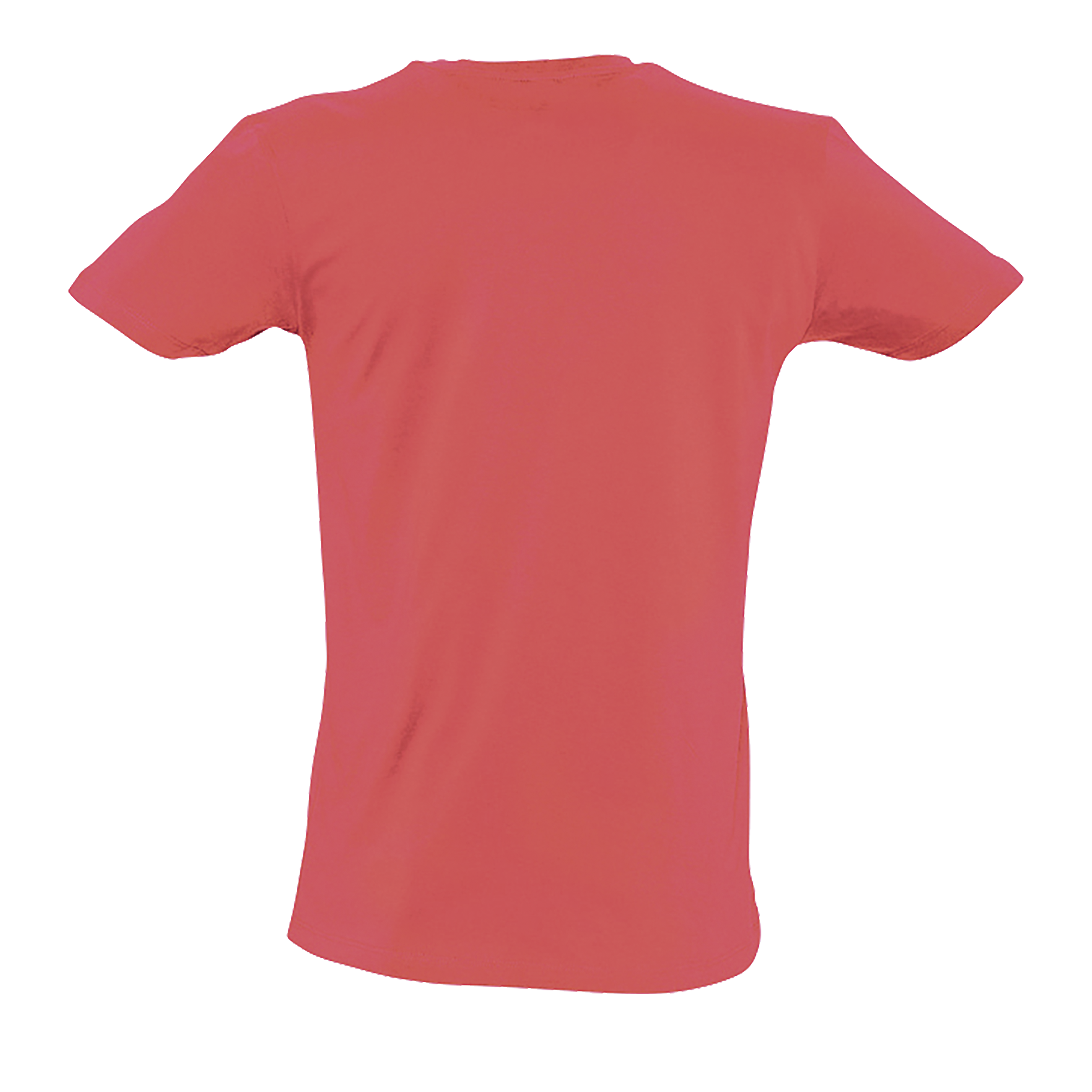 images/stories/virtuemart/sols20/4559_teeshirt_homme_col_v_profond_master_coral_dos
