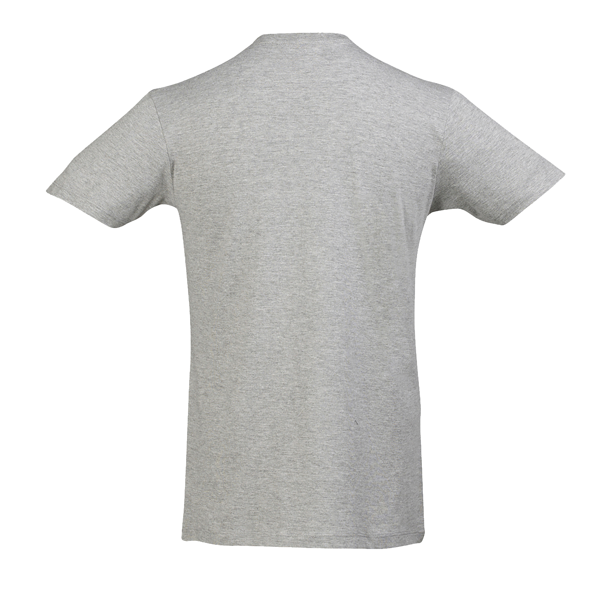 images/stories/virtuemart/sols20/4569_teeshirt_homme_col_v_profond_master_coral_dos