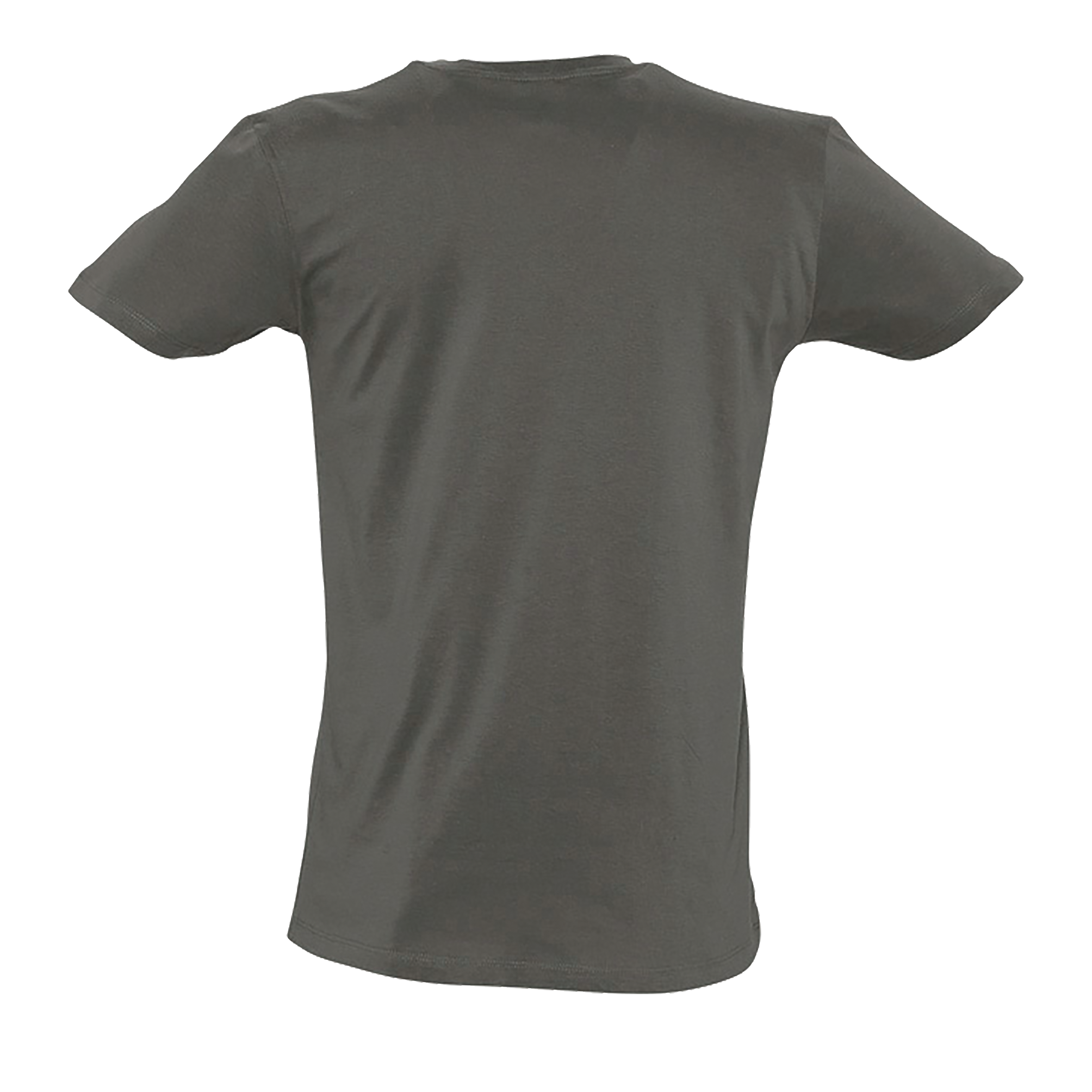 images/stories/virtuemart/sols20/4574_teeshirt_homme_col_v_profond_master_coral_dos