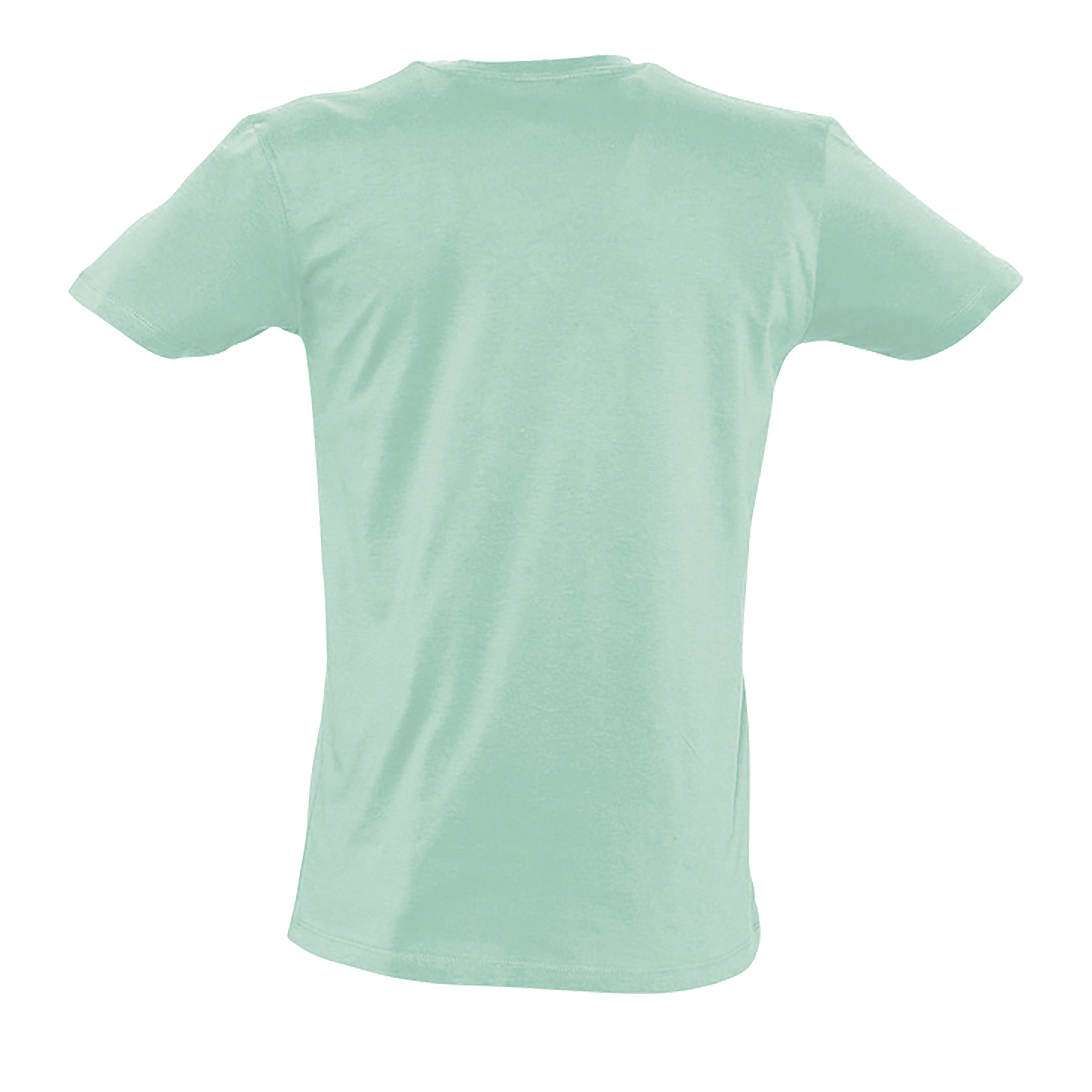 images/stories/virtuemart/sols20/4584_teeshirt_homme_col_v_profond_master_coral_dos