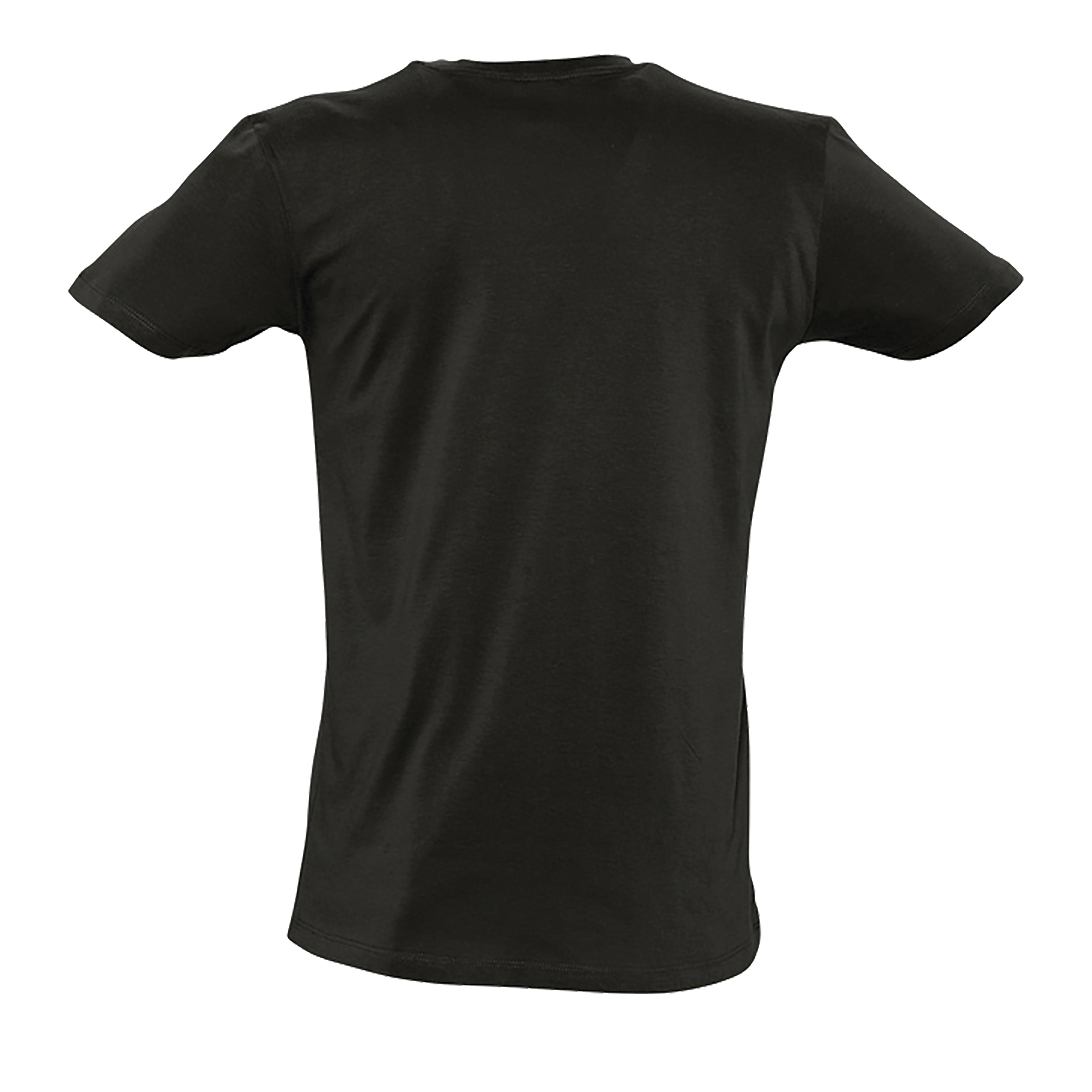 images/stories/virtuemart/sols20/4589_teeshirt_homme_col_v_profond_master_coral_dos