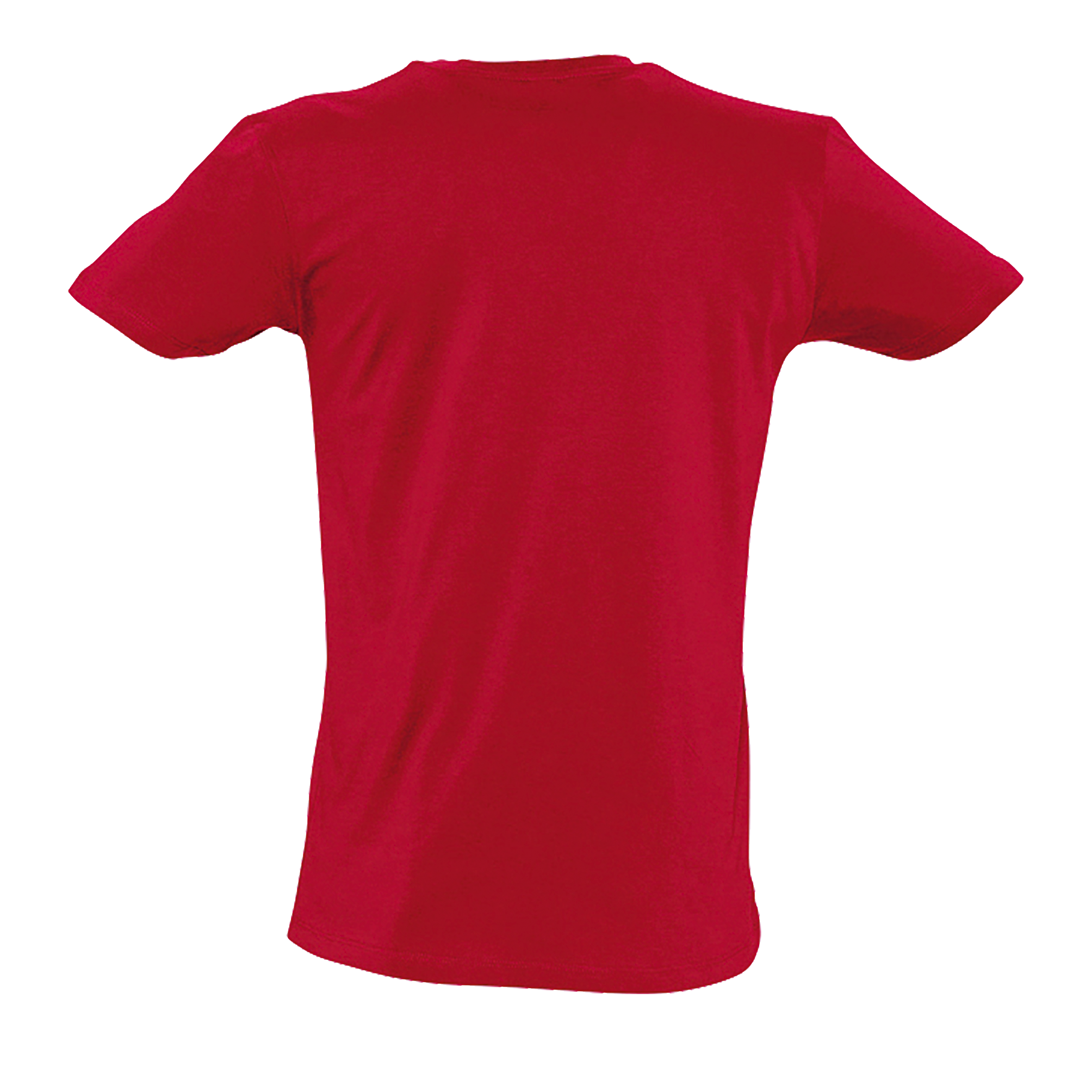 images/stories/virtuemart/sols20/4594_teeshirt_homme_col_v_profond_master_coral_dos