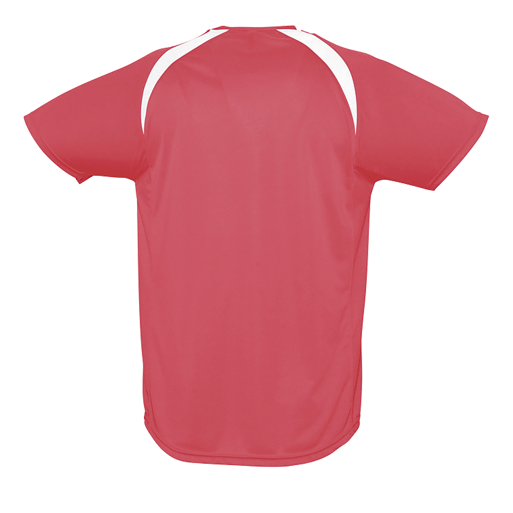 images/stories/virtuemart/sols20/4614_teeshirt_bicolore_homme_match_apple_green_dos