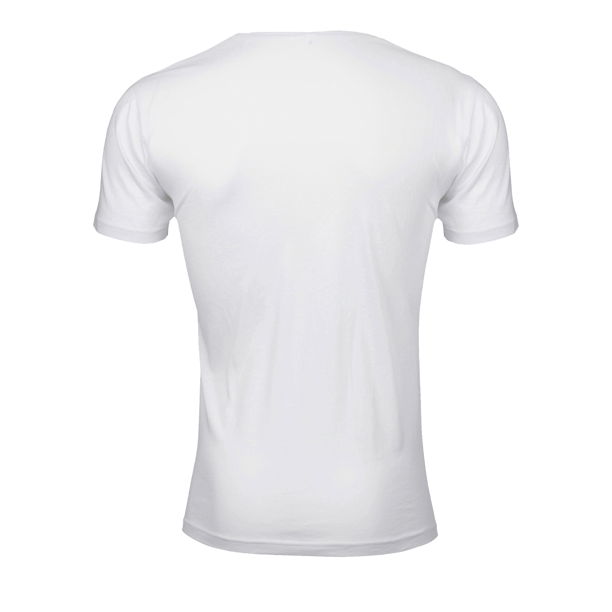 images/stories/virtuemart/sols20/5847_teeshirt_homme_col_rond_en_jersey_fin_must_men_deep_black_dos