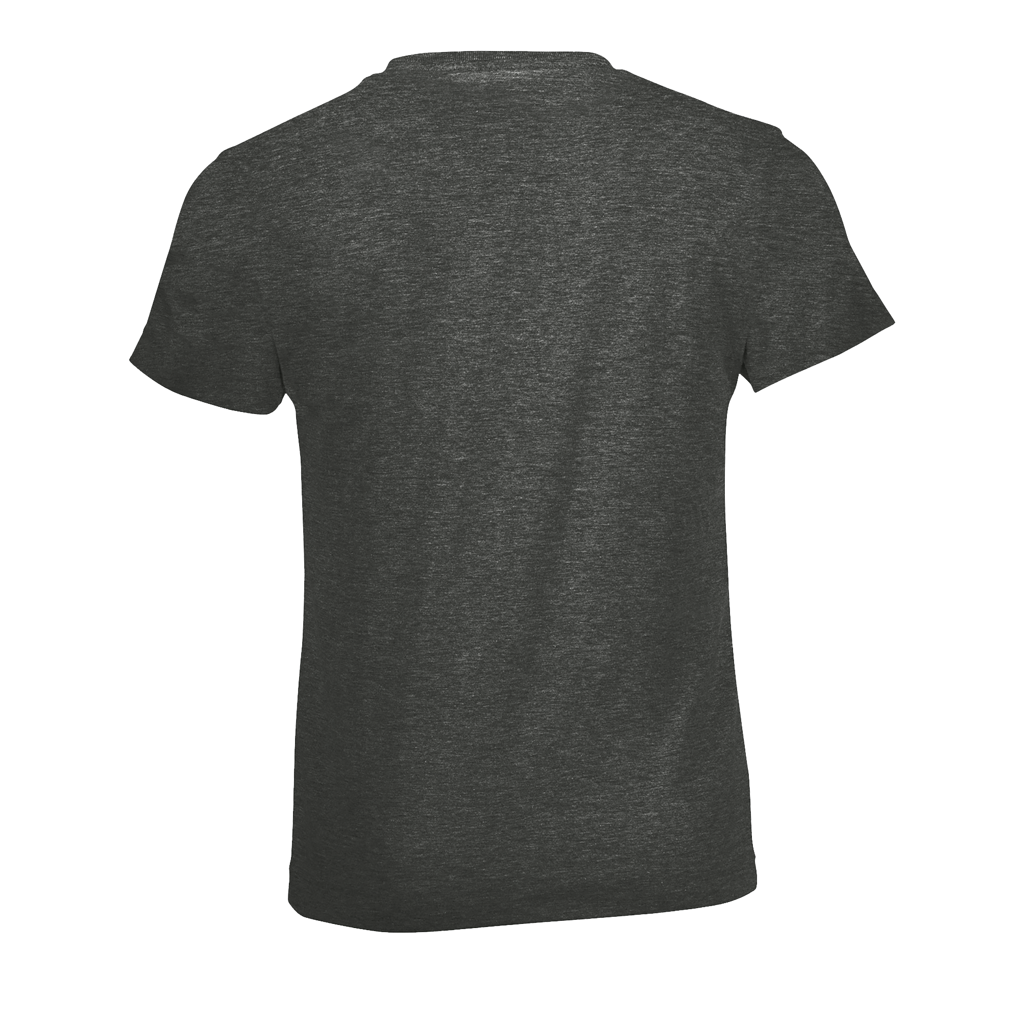 images/stories/virtuemart/sols20/9201_teeshirt_enfant_col_rond_regent_fit_kids_apple_green_dos
