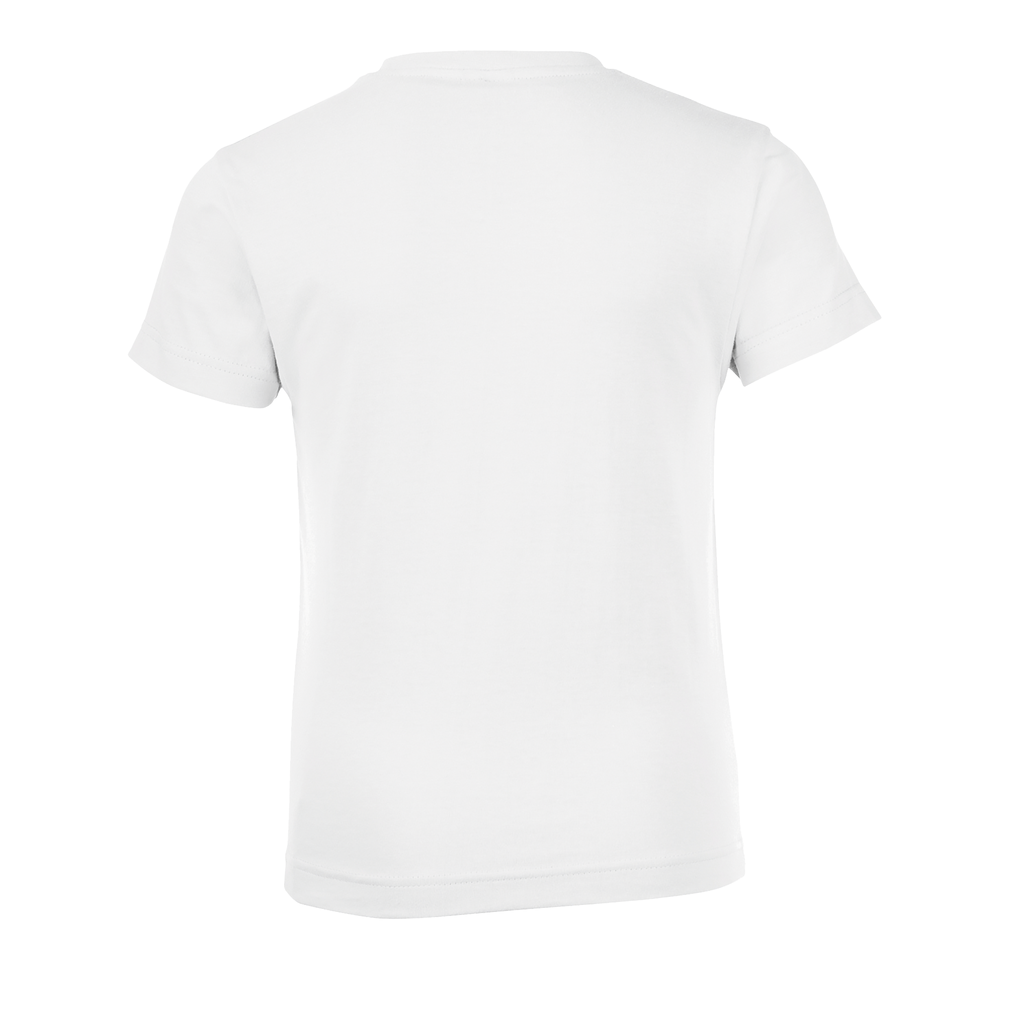 images/stories/virtuemart/sols20/9207_teeshirt_enfant_col_rond_regent_fit_kids_apple_green_dos