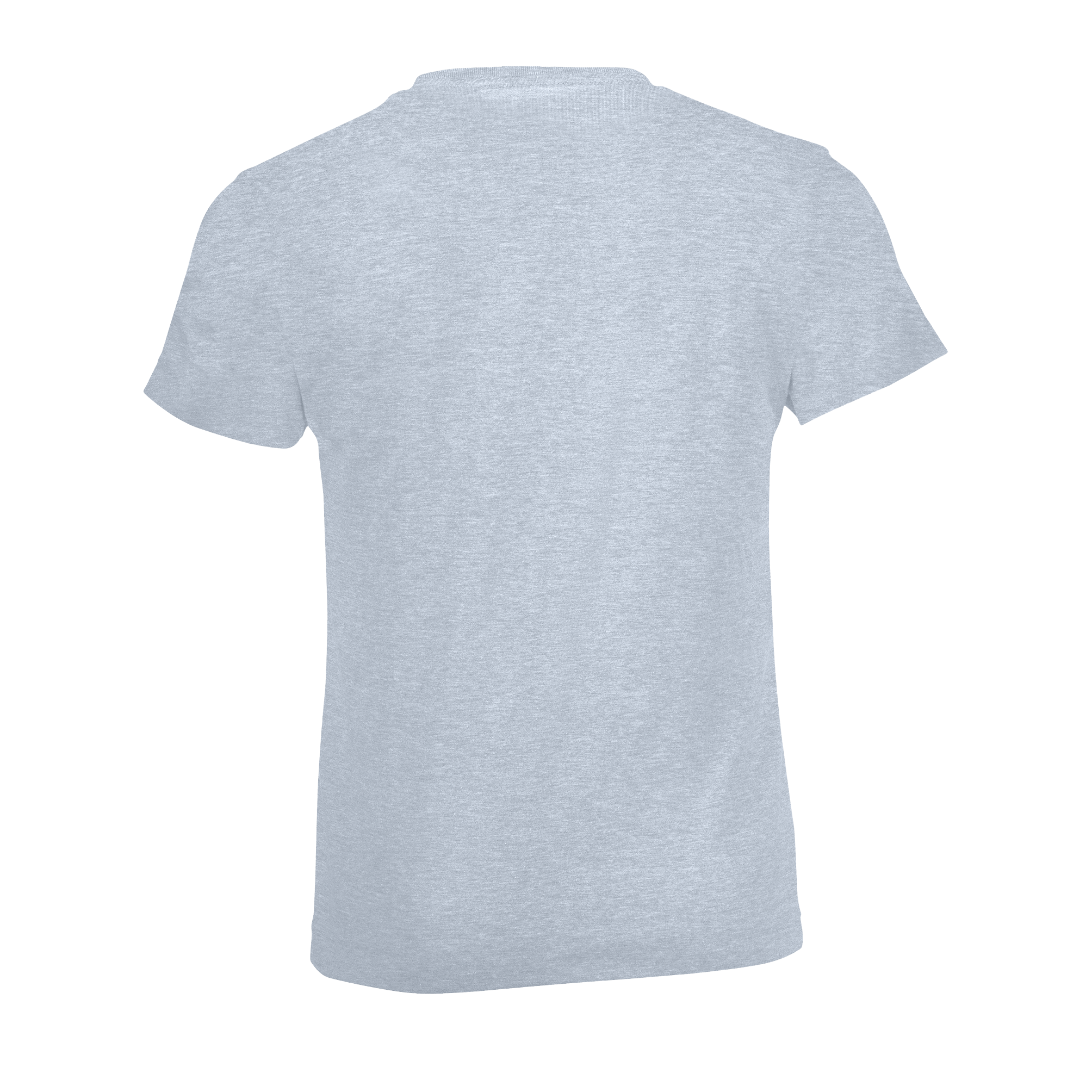 images/stories/virtuemart/sols20/9219_teeshirt_enfant_col_rond_regent_fit_kids_apple_green_dos