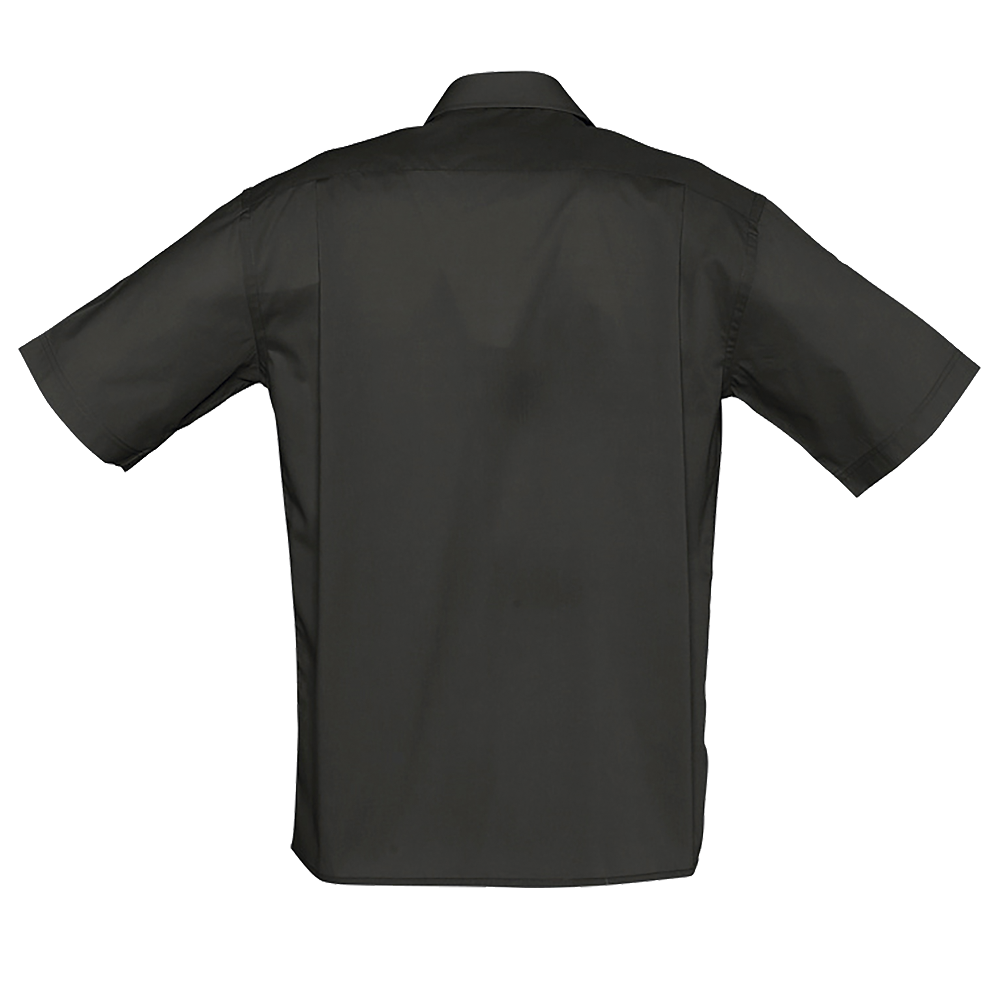 images/stories/virtuemart/sols20/922_chemise_homme_popeline_manches_courtes_bristol_apple_green_dos