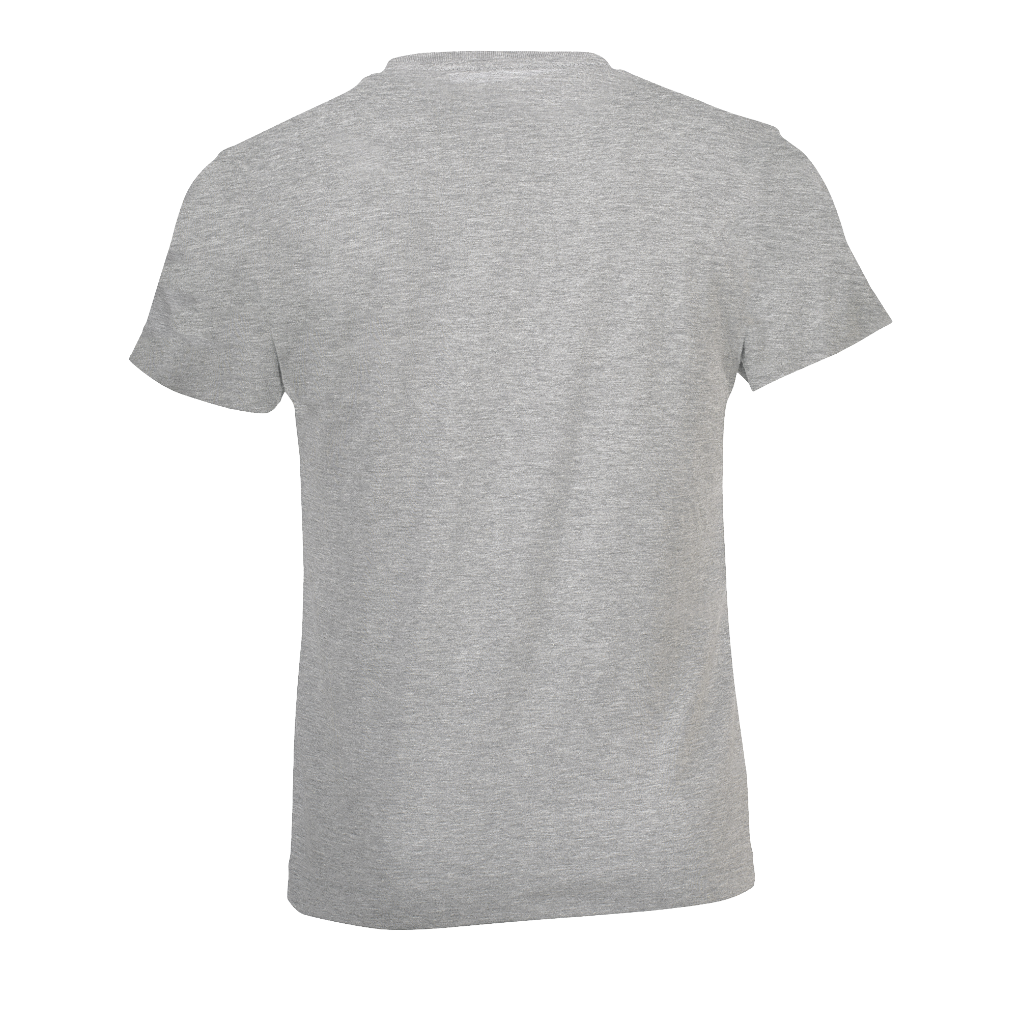 images/stories/virtuemart/sols20/9237_teeshirt_enfant_col_rond_regent_fit_kids_apple_green_dos