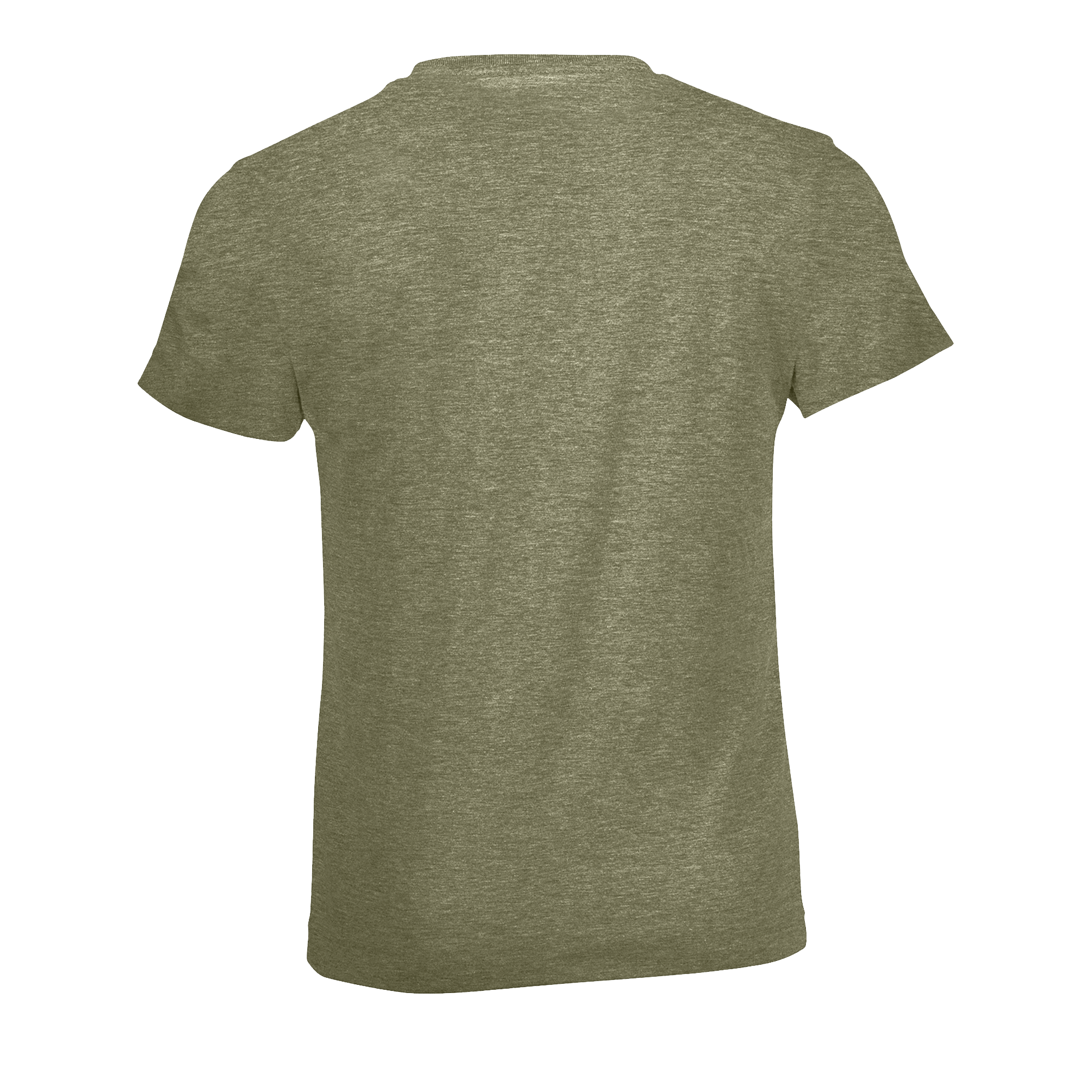 images/stories/virtuemart/sols20/9249_teeshirt_enfant_col_rond_regent_fit_kids_apple_green_dos