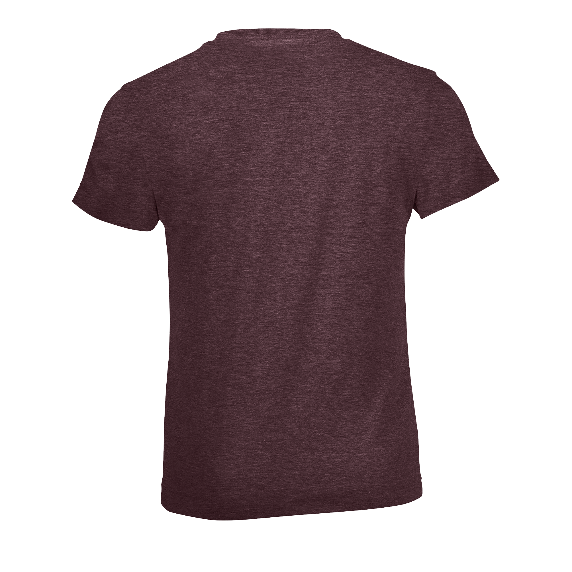 images/stories/virtuemart/sols20/9261_teeshirt_enfant_col_rond_regent_fit_kids_apple_green_dos