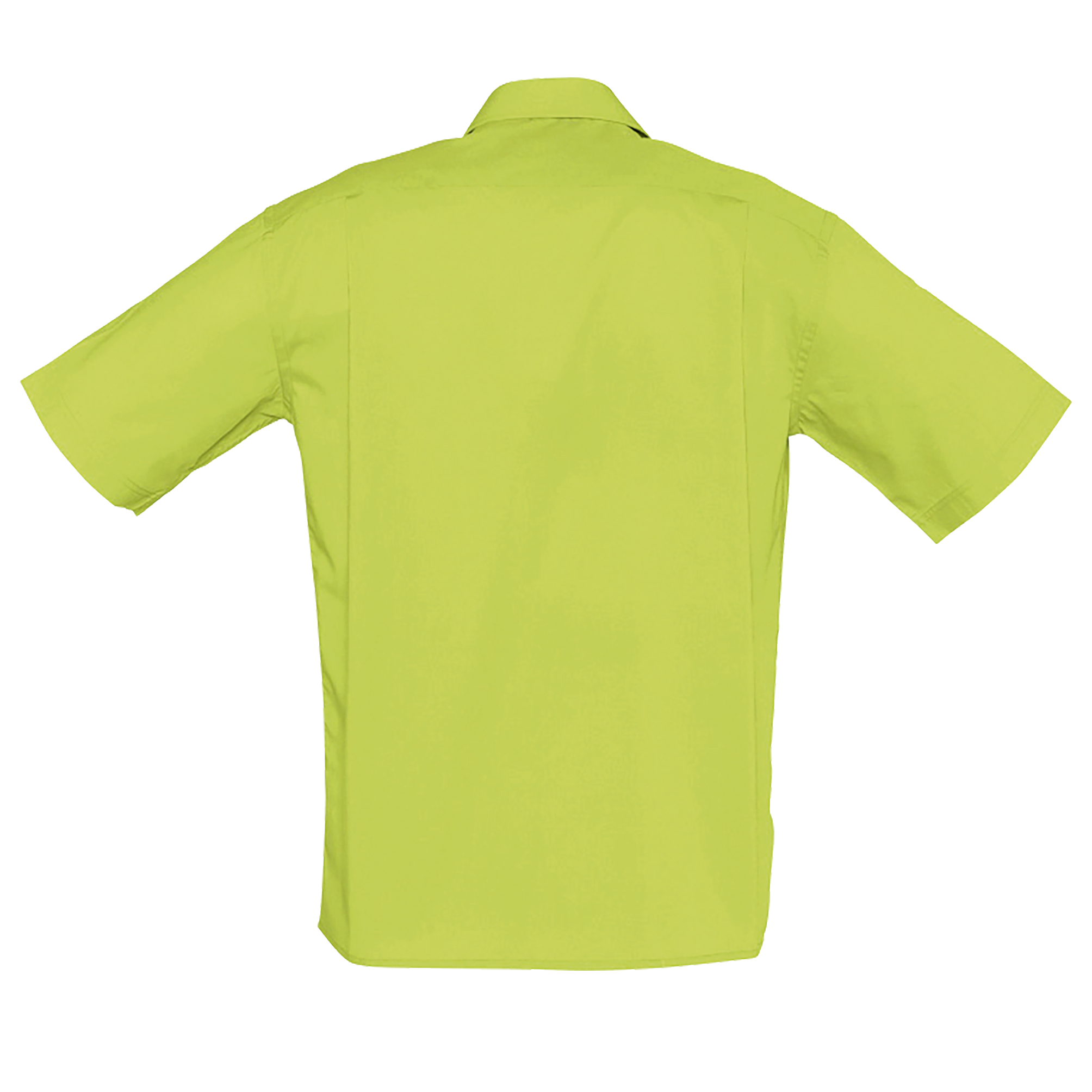 images/stories/virtuemart/sols20/929_chemise_homme_popeline_manches_courtes_bristol_apple_green_dos