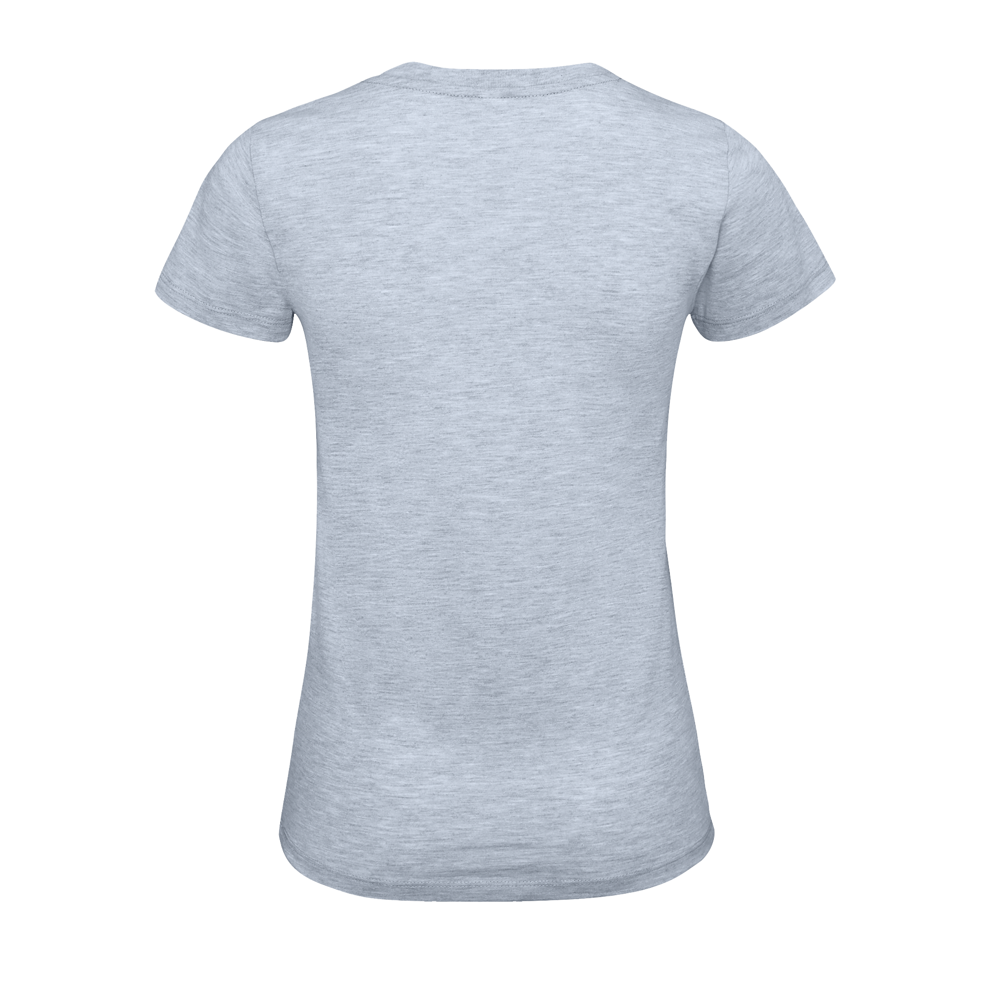images/stories/virtuemart/sols20/9306_teeshirt_femme_col_rond_ajuste_regent_fit_women_charcoal_melange_dos