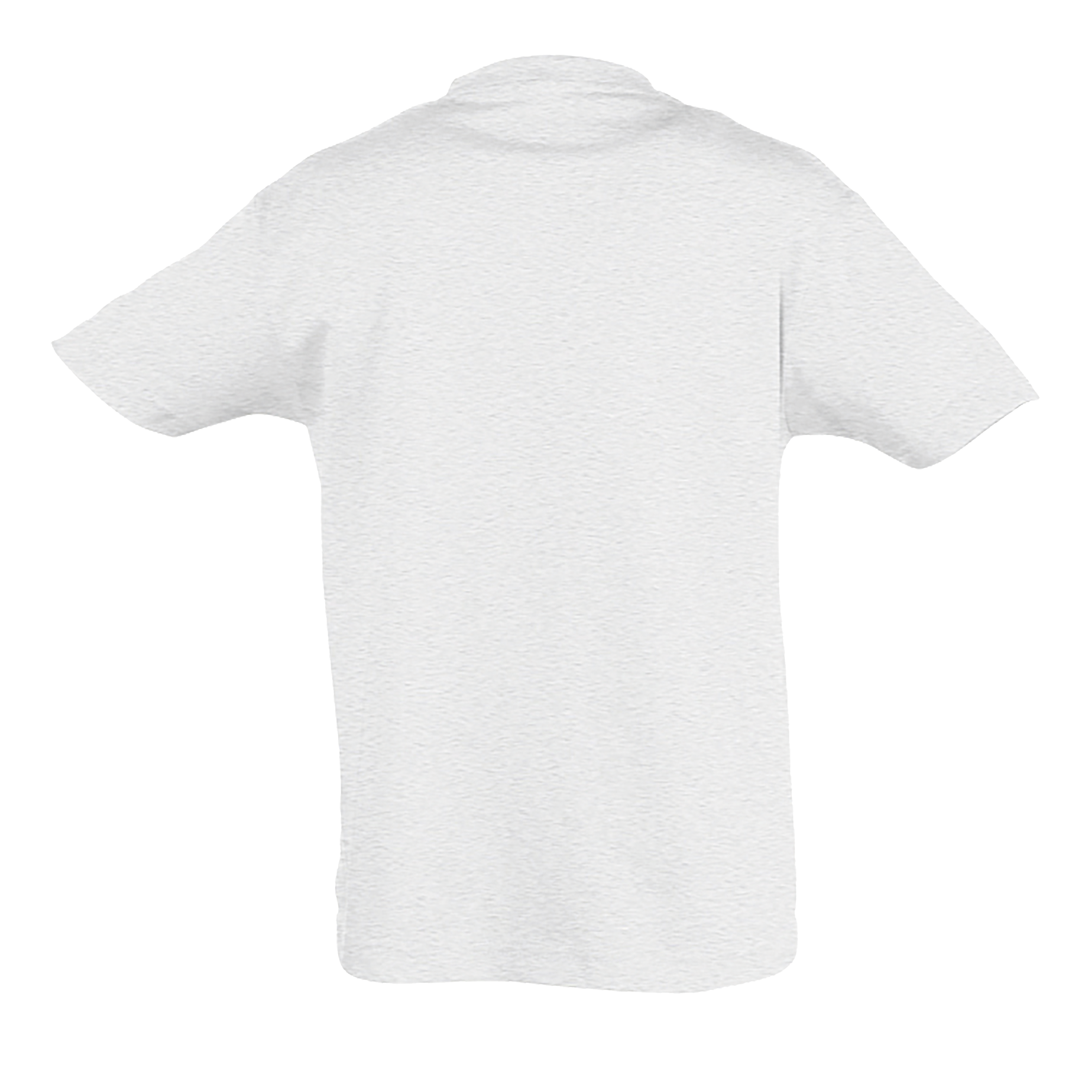 images/stories/virtuemart/sols20/9394_teeshirt_enfant_col_rond_regent_kids_apple_green_dos