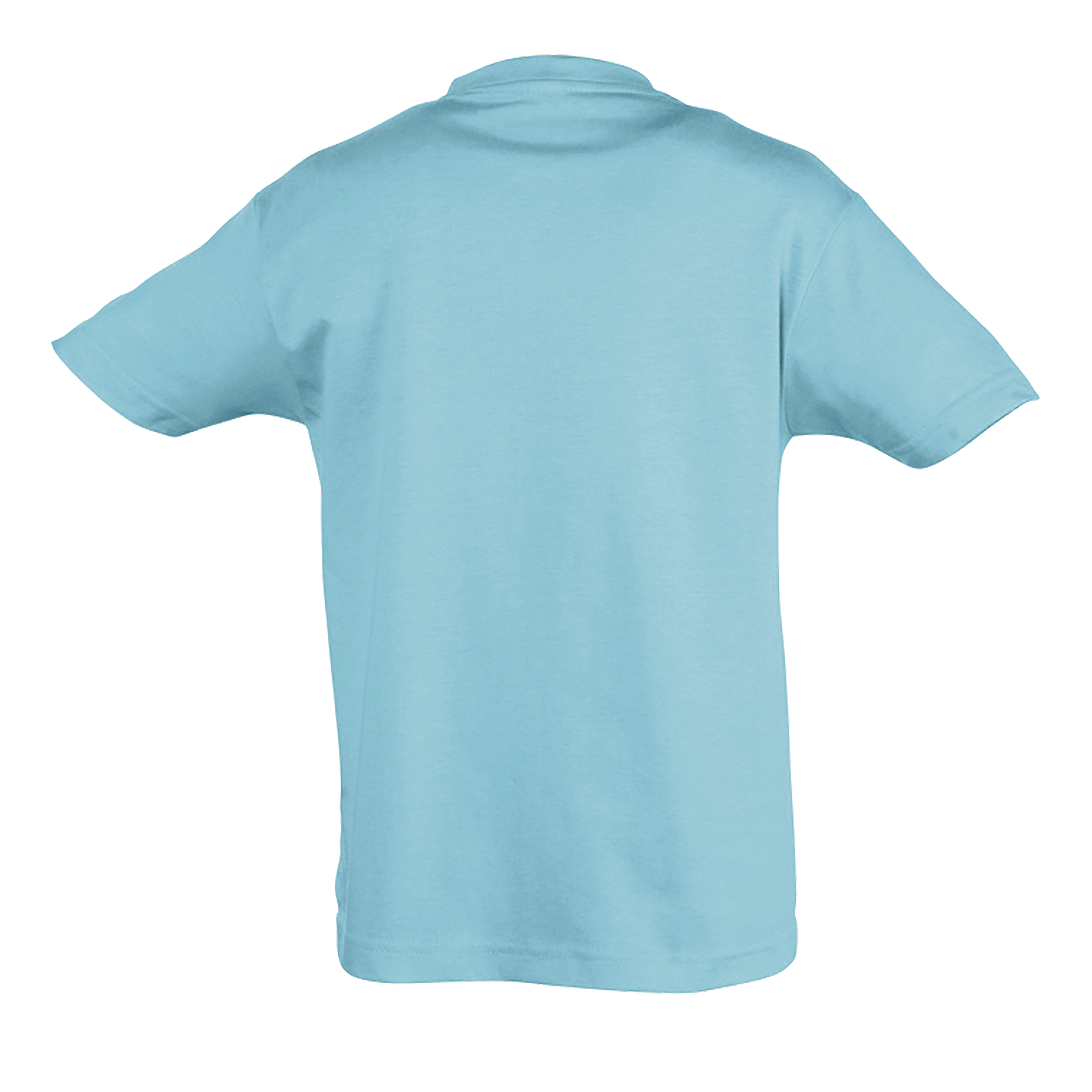 images/stories/virtuemart/sols20/9400_teeshirt_enfant_col_rond_regent_kids_apple_green_dos