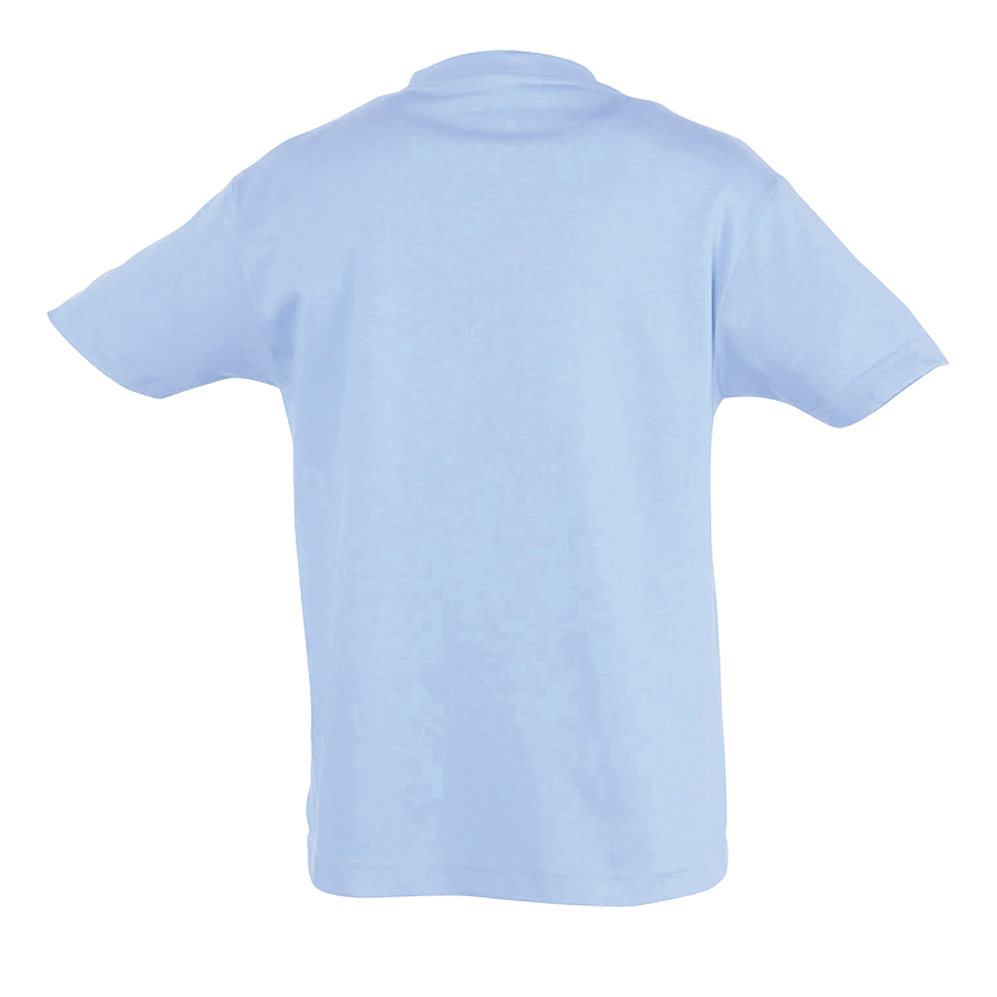 images/stories/virtuemart/sols20/9406_teeshirt_enfant_col_rond_regent_kids_apple_green_dos