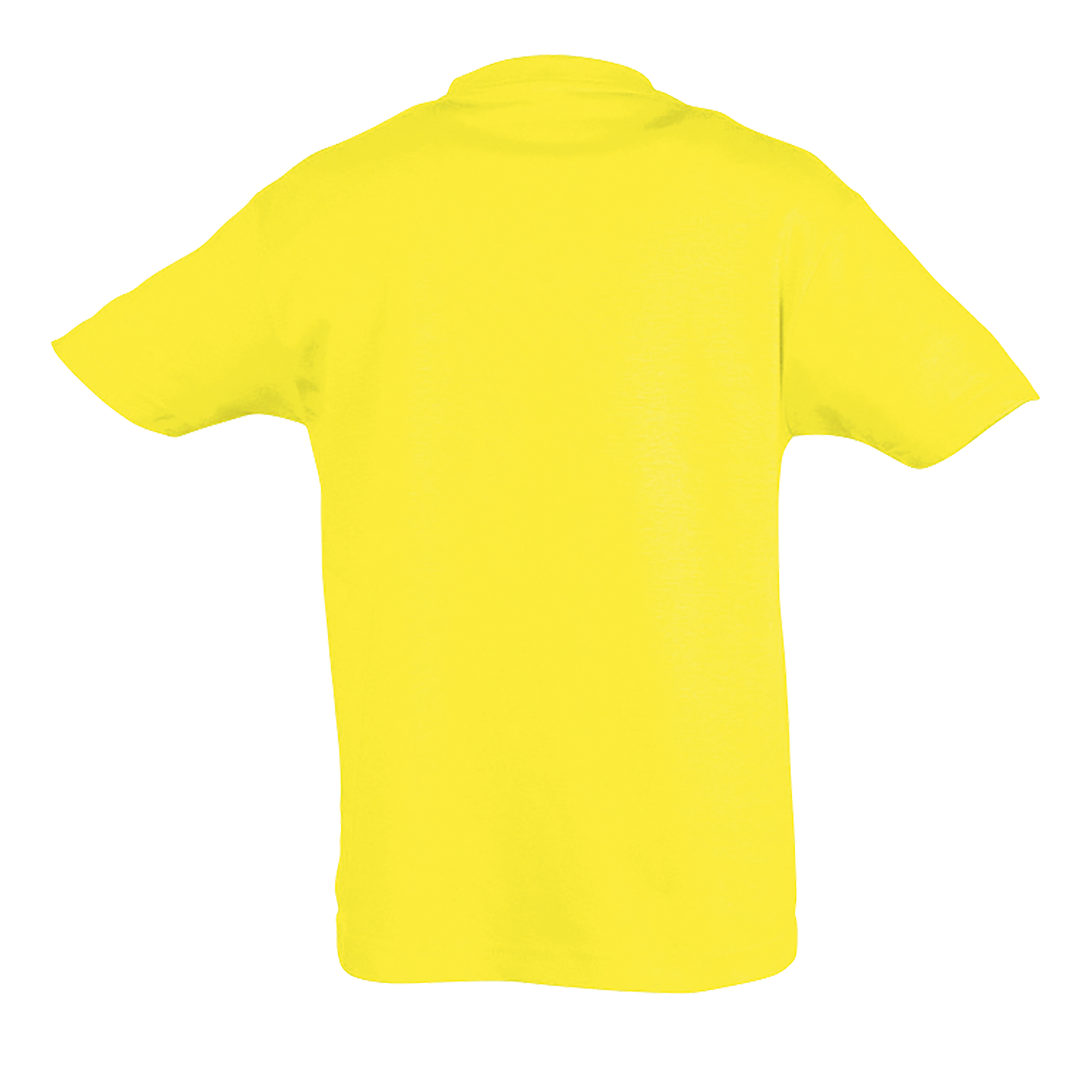 images/stories/virtuemart/sols20/9412_teeshirt_enfant_col_rond_regent_kids_apple_green_dos