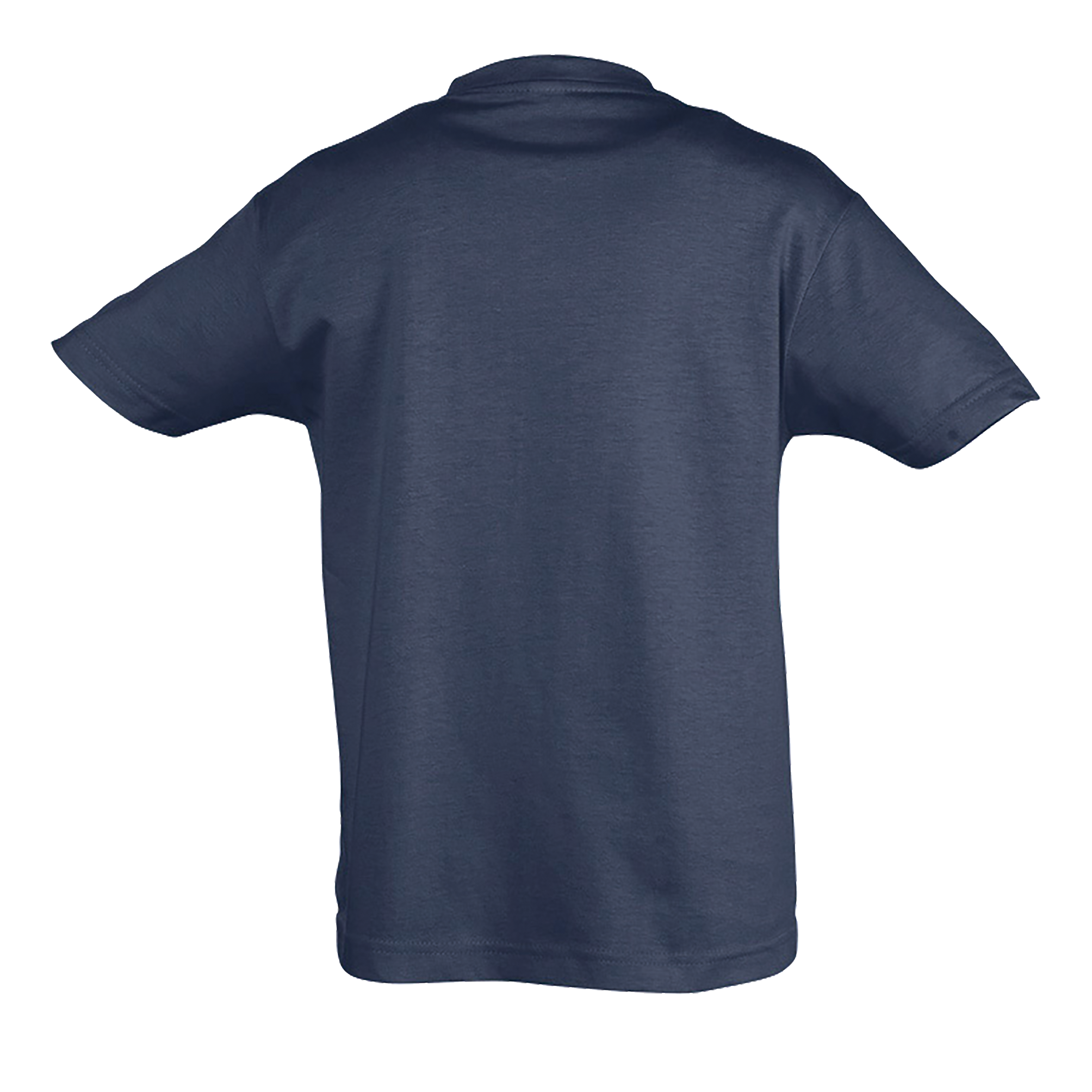 images/stories/virtuemart/sols20/9418_teeshirt_enfant_col_rond_regent_kids_apple_green_dos