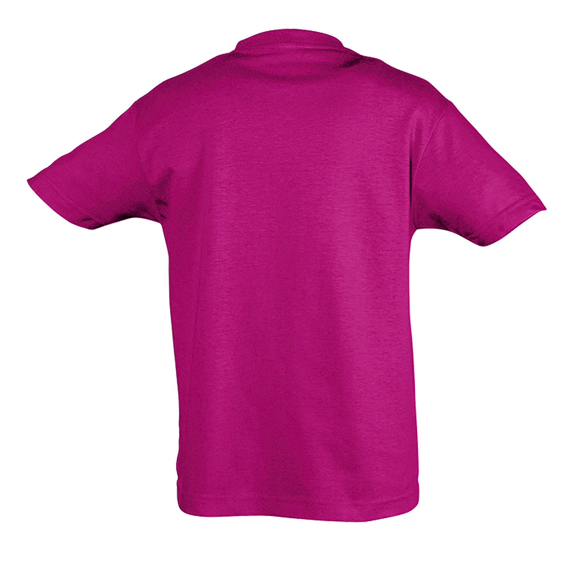 images/stories/virtuemart/sols20/9424_teeshirt_enfant_col_rond_regent_kids_apple_green_dos