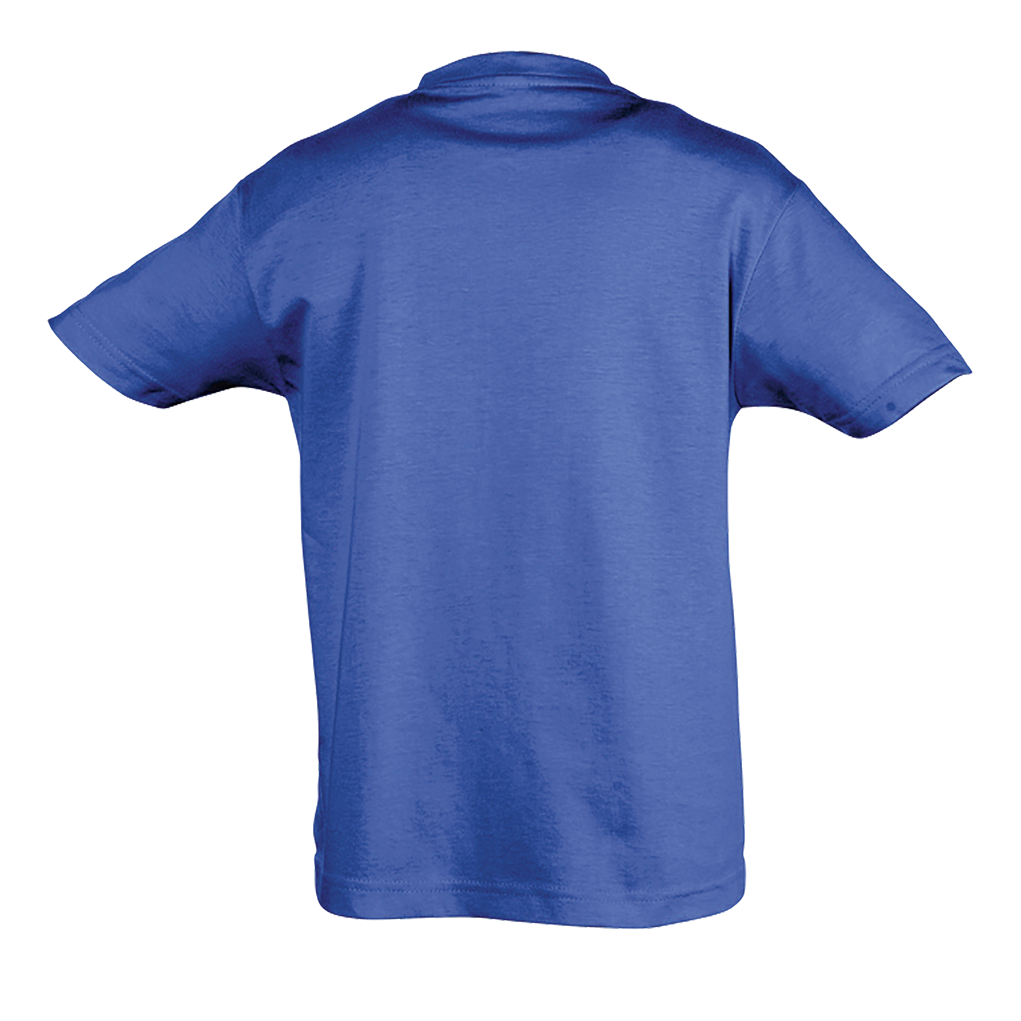 images/stories/virtuemart/sols20/9478_teeshirt_enfant_col_rond_regent_kids_apple_green_dos