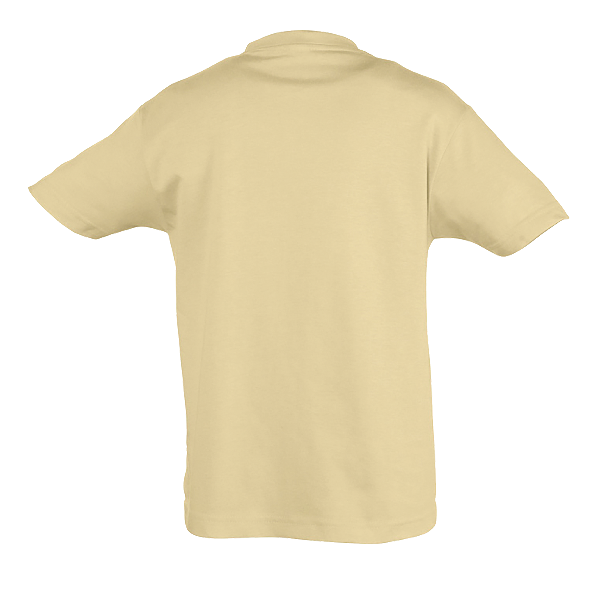 images/stories/virtuemart/sols20/9484_teeshirt_enfant_col_rond_regent_kids_apple_green_dos