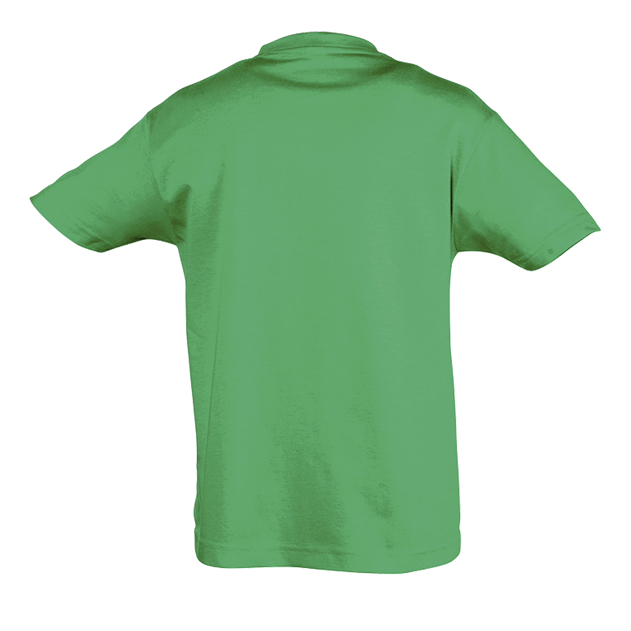 images/stories/virtuemart/sols20/9496_teeshirt_enfant_col_rond_regent_kids_apple_green_dos