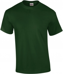 images/stories/virtuemart/tt2016/PS_GI2000_FORESTGREEN