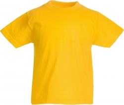 images/stories/virtuemart/tt2016/PS_SC221B_SUNFLOWERYELLOW